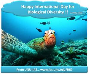 Happy%20Bioday%202009