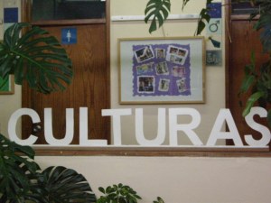 Culturas - Exposição 12º C e F