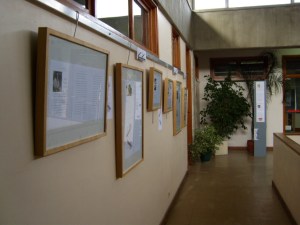 13 matemáticos portugueses